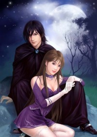 重生之赘婿神医